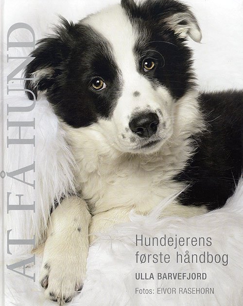 At få hund - Ulla Barvefjord - Boeken - Atelier - 9788778575258 - 24 augustus 2007