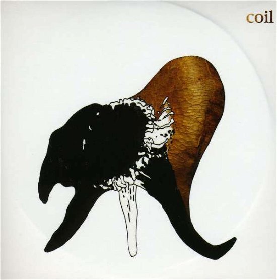 Cover for Coil · Black Antlers (CD) (2006)