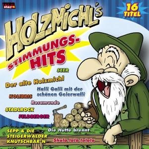 Holzmichl's Stimmungs-hits - Various Artists - Musiikki - TYROLIS - 9003549774259 - torstai 1. huhtikuuta 2004