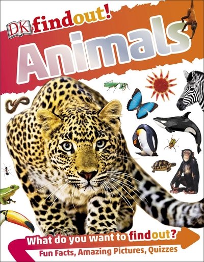 Cover for Dk · DKfindout! Animals - DKfindout! (Paperback Book) (2016)