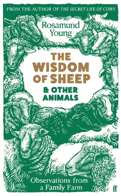 Cover for Rosamund Young · The Wisdom of Sheep &amp; Other Animals: Observations from a Family Farm (Gebundenes Buch) [Main edition] (2023)