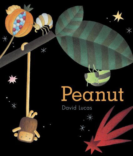 Peanut - David Lucas - Książki - Candlewick - 9780763639259 - 28 października 2008