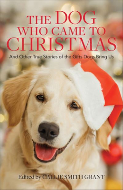 Cover for Callie Smith Grant · Dog Who Came to Christmas (Gebundenes Buch) (2021)