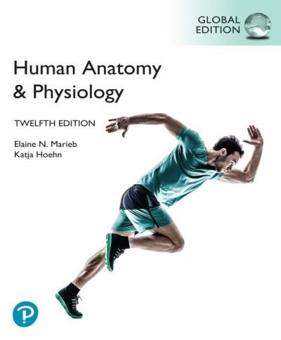 Cover for Elaine Marieb · Human Anatomy &amp; Physiology Laboratory Manual, Main Version, Global Edition (Paperback Book) (2022)