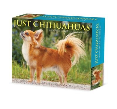Cover for Willow Creek Press · Chihuahuas 2024 6.2 X 5.4 Box Calendar (Kalender) (2023)