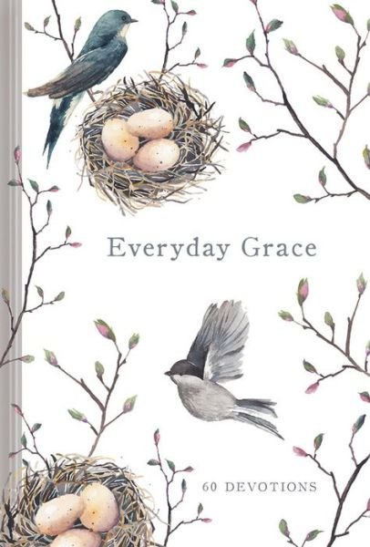 Cover for Ellie Claire · EVERYDAY GRACE: 60 Devotions (Hardcover bog) (2016)