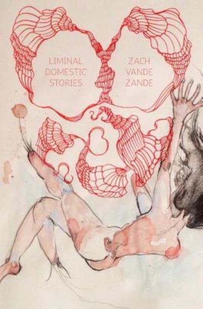 Cover for Zach VandeZande · Liminal Domestic (Paperback Book) (2019)