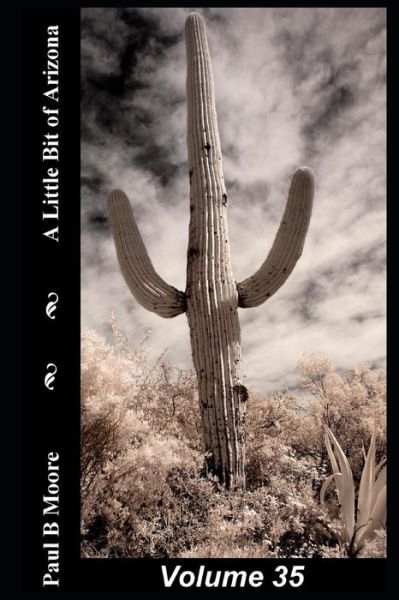 Cover for Paul Moore · A Little Bit of Arizona (Taschenbuch) (2018)