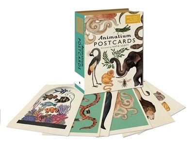 Cover for Jenny Broom · Animalium Postcards - Welcome To The Museum (Lernkarteikarten) (2016)