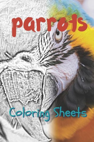 Cover for Julian Smith · Parrot Coloring Sheets (Pocketbok) (2019)