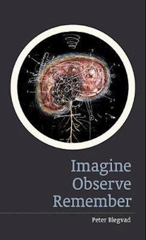 Cover for Peter Blegvad · Imagine, Observe, Remember (Paperback Book) (2020)
