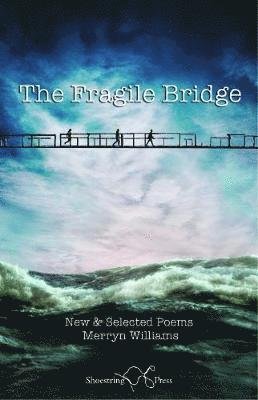 Cover for Merryn Williams · The Fragile Bridge (Paperback Book) (2019)