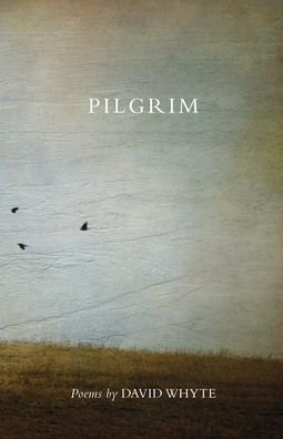 Cover for David Whyte · Pilgrim (Revised) (Revised) (Pocketbok) (2014)
