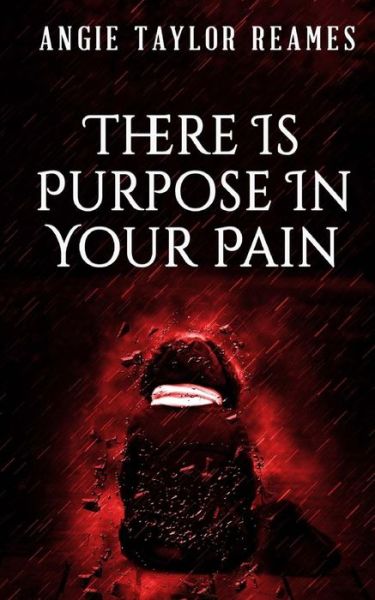 Cover for Angie Taylor Reames · There is Purpose in Your Pain (Paperback Book) (2016)