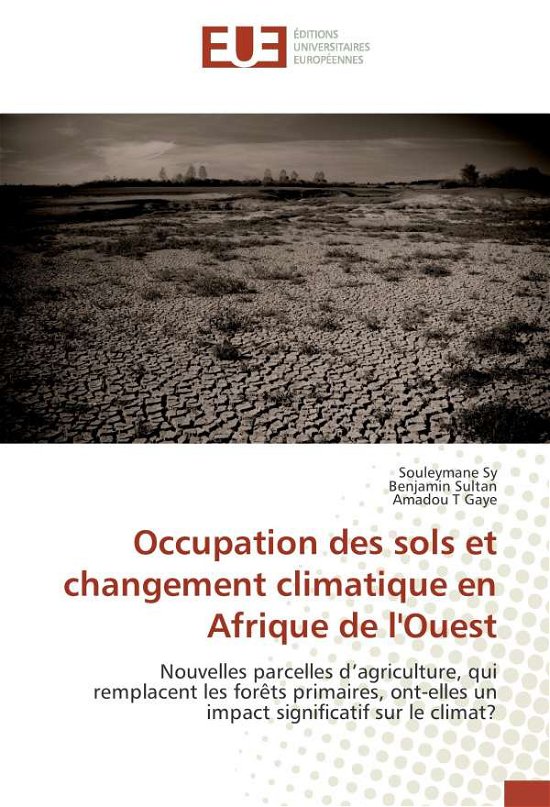 Cover for Sy · Occupation des sols et changement cl (Buch)