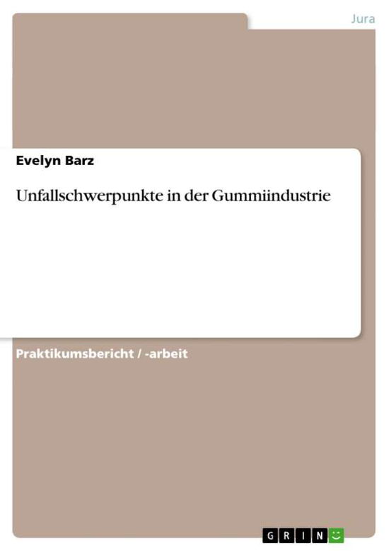 Cover for Barz · Unfallschwerpunkte in der Gummiind (Book) [German edition] (2013)