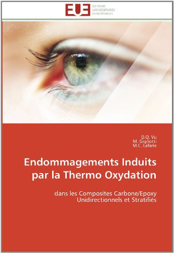 Cover for M.c. Lafarie · Endommagements Induits Par La Thermo Oxydation: Dans Les Composites Carbone / Epoxy Unidirectionnels et Stratifiés (Paperback Book) [French edition] (2018)