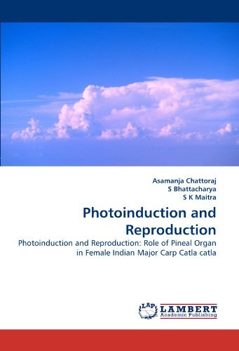 Cover for S K Maitra · Photoinduction and Reproduction: Photoinduction and Reproduction: Role of Pineal Organ in Female Indian Major Carp Catla Catla (Pocketbok) (2011)