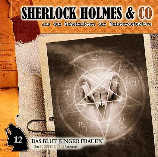 Cover for Poe · Sherlock Holmes &amp; Co, Blut junge.CD (Buch) (2014)