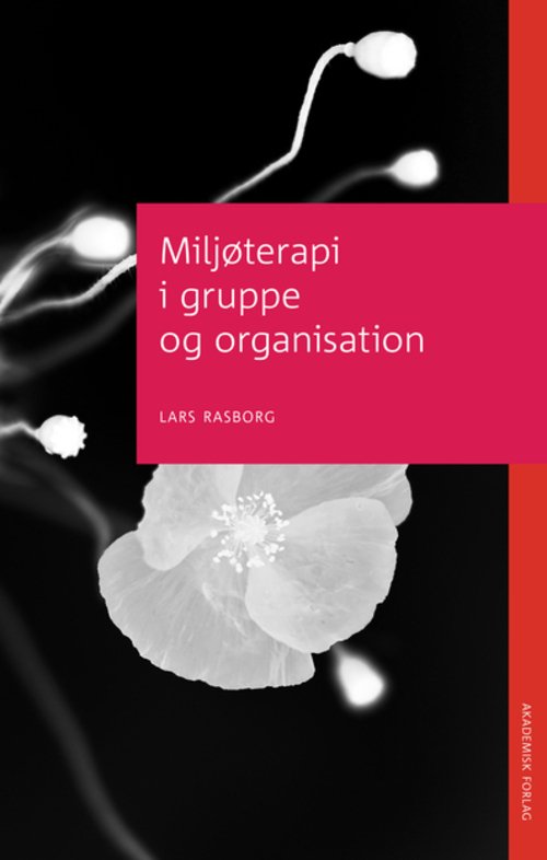 Cover for Lars Rasborg · Terapiserien: Miljøterapi i gruppe og organisation (Sewn Spine Book) [1er édition] (2013)