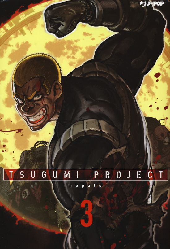 Cover for Ippatu · Tsugumi Project #03 (Book)