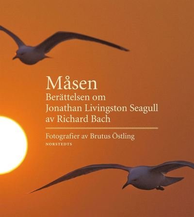 Cover for Bach Richard · Måsen : berättelsen om Jonathan Livingstone Seagull / foto: Brutus Östling (Bog) (2008)