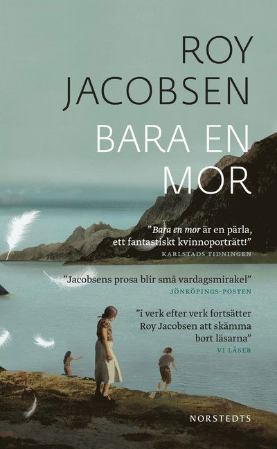 Bara en mor - Roy Jacobsen - Boeken - Norstedts Förlag - 9789113116259 - 2023