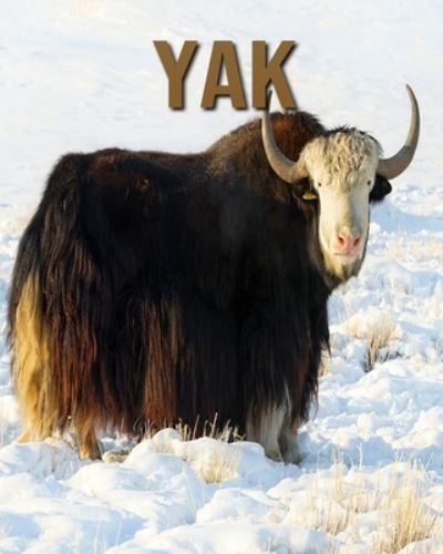 Cover for Joe Murphy · Yak (Paperback Book) (2020)