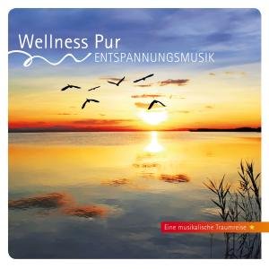 Entspannungsmusik-musikal.traumreise - Wellness Pur - Musik - MEDSO - 4012897210260 - 1. marts 2011