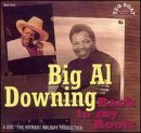 Back To My Roots - Big Al Downing - Muziek - ROLLERCOASTER - 5012814030260 - 26 januari 1998