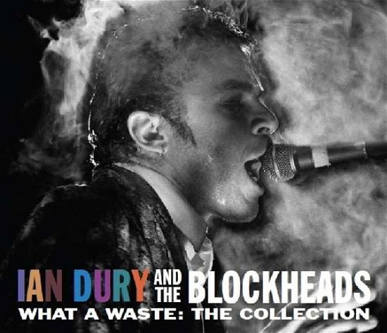 What a Waste - Ian Dury & the Blockheads - Música - ABP8 (IMPORT) - 5014797672260 - 1 de febrero de 2022