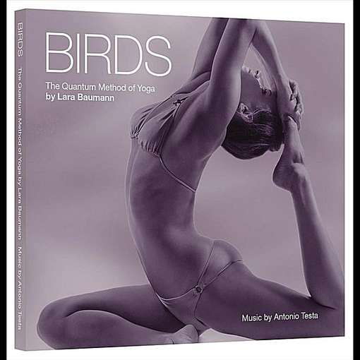 Cover for Lara Baumann · Birds - The Quantum Method Of Yoga (CD) (2012)