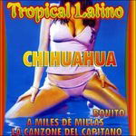 Cover for Aa.vv. · Tropical Latino (CD) (2003)