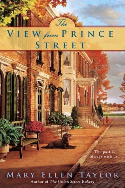 Cover for Mary Ellen Taylor · The View From Prince Street (Taschenbuch) (2016)