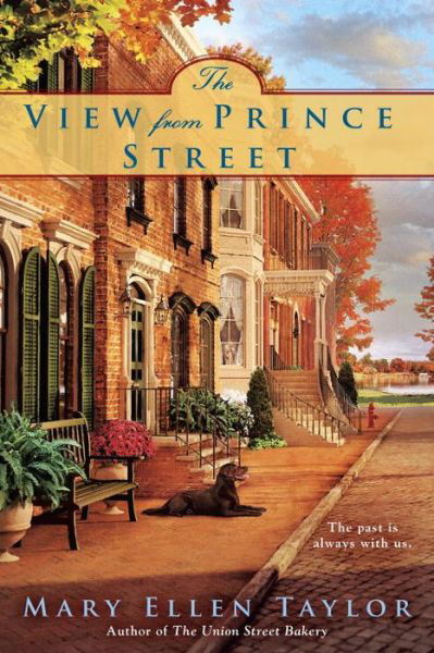 Cover for Mary Ellen Taylor · The View From Prince Street (Paperback Book) (2016)