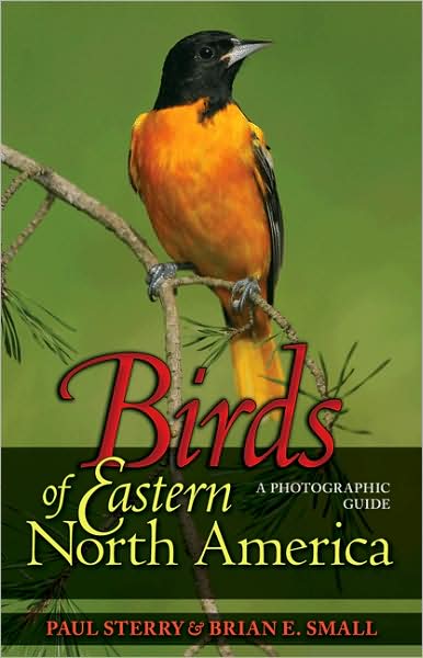 Birds of Eastern North America: A Photographic Guide - Princeton Field Guides - Paul Sterry - Books - Princeton University Press - 9780691134260 - October 11, 2009