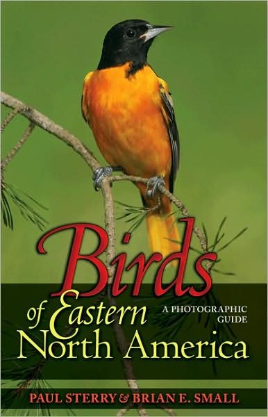 Birds of Eastern North America: A Photographic Guide - Princeton Field Guides - Paul Sterry - Livres - Princeton University Press - 9780691134260 - 11 octobre 2009