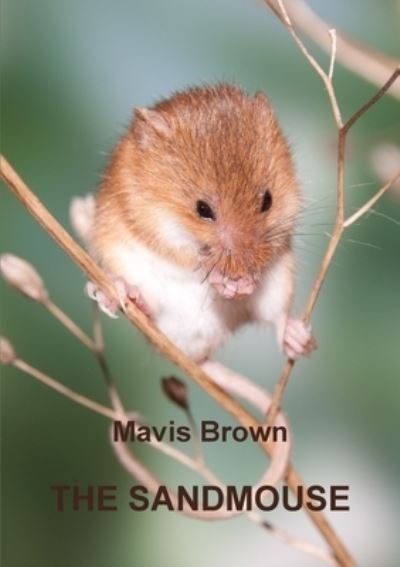 Cover for Mavis Brown · THE Sandmouse (Paperback Book) (2015)