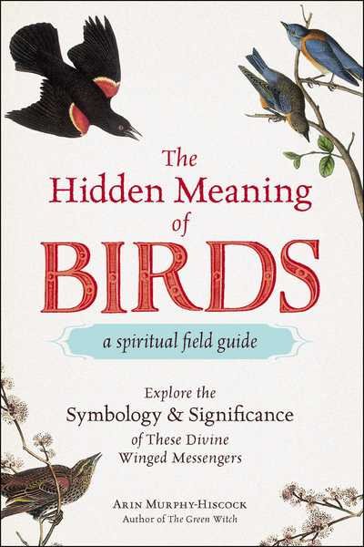 Cover for Arin Murphy-Hiscock · The Hidden Meaning of Birds--A Spiritual Field Guide: Explore the Symbology and Significance of These Divine Winged Messengers (Paperback Book) (2019)