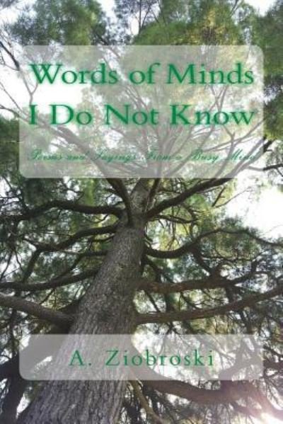 Cover for A Ziobroski · Words of Minds I Do Not Know (Pocketbok) (2015)