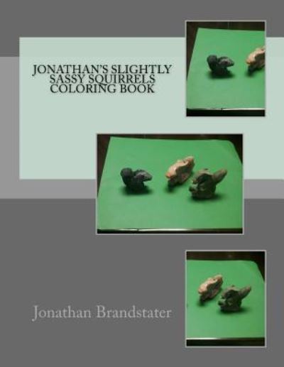 Cover for Jonathan Jay Brandstater · Jonathan's Slightly Sassy Squirrels Coloring Book (Paperback Book) (2017)