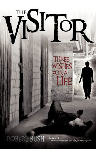 Cover for Robert Bush · The Visitor (Pocketbok) (2012)
