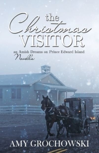 Cover for Amy Grochowski · The Christmas Visitor (Paperback Book) (2020)