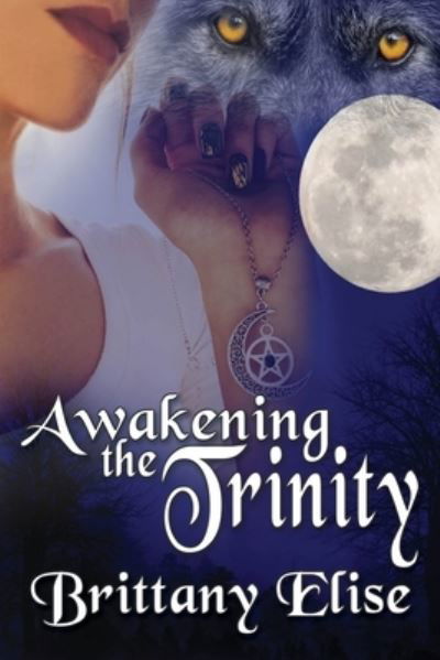 Cover for Brittany Elise · Awakening the Trinity (Paperback Book) (2018)