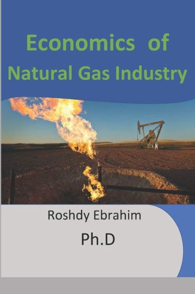 Cover for Roshdy Ebrahim Phd · Economics of Natural Gas Industry (Paperback Book) (2019)