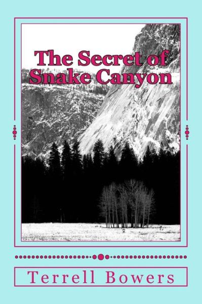 Cover for Terrell L Bowers · The Secret of Snake Canyon (Paperback Bog) (2018)