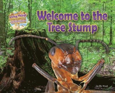 Cover for Alix Wood · Welcome to the Tree Stump - Living Things and their Habitats (Paperback Bog) (2023)