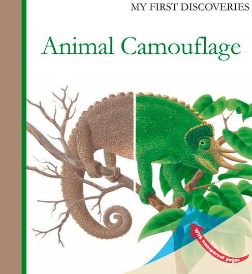 Cover for Rene Mettler · Animal Camouflage - My First Discoveries (Hardcover Book) (2014)