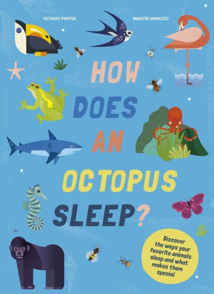 Cover for Octavio Pintos · How Does an Octopus Sleep? (Hardcover Book) (2022)