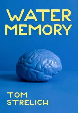 Water Memory - Tom Strelich - Böcker - Owl Canyon Press - 9781952085260 - 23 mars 2023